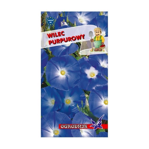 Wilec purpurowy niebieski 3g  / O /