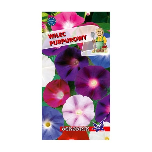 Wilec purpurowy mieszanka 3g  / O /