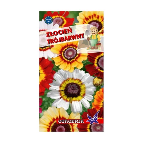 Złocień trójbarwny mieszanka 1g  / O /