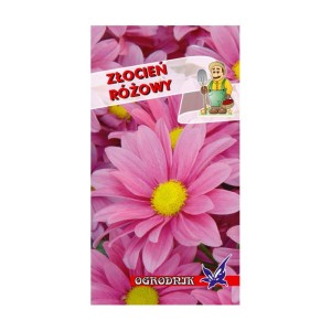 Złocień różowy 0,4g  / O /