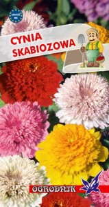 Cynia skabiozowa mix 1g  / O /