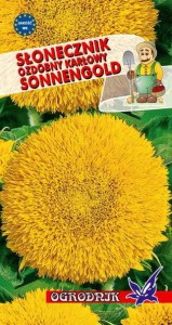 Słonecznik ozd. karłowy Sonnegold 2g  / O /