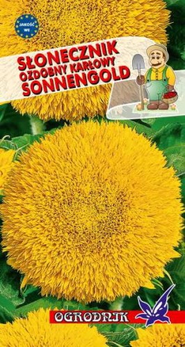 Słonecznik ozd. karłowy Sonnegold 2g  / O /