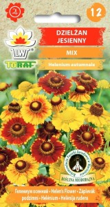 Dzielżan jesienny mix nasiona 0,1g  / T /