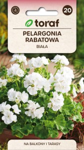 Pelargonia rabatowa biała 0,05g  / T /