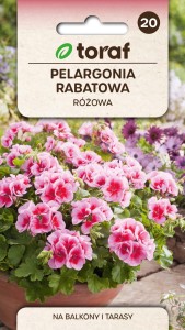 Pelargonia rabatowa różowa 0,05g  / T /