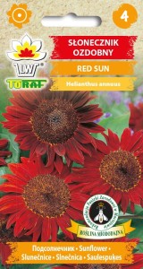 Słonecznik ozdobny Red Sun 2g  / T /