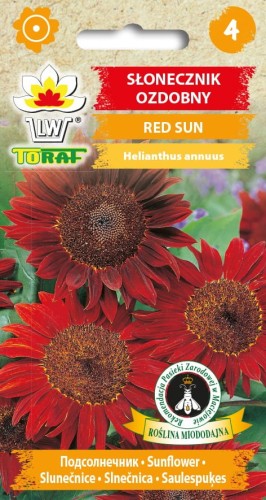 Słonecznik ozdobny Red Sun 2g  / T /