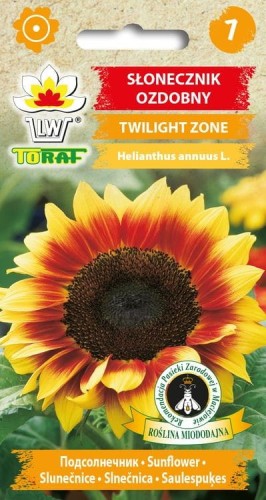 Słonecznik ozdobny Twilight Zone 0,5g  / T /