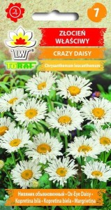 Złocień właściwy Crazy Daisy 0.2g  / T /