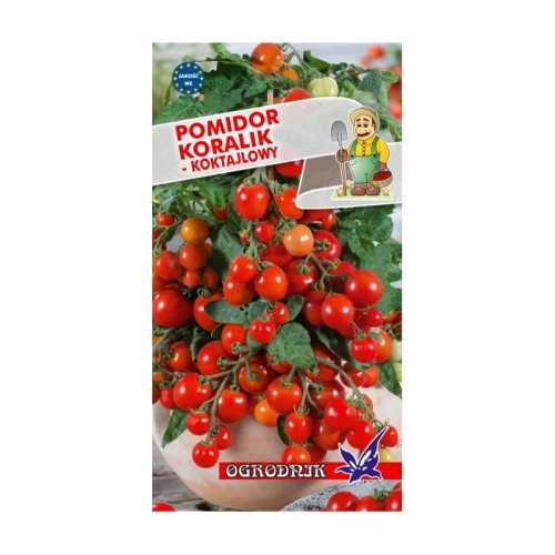 Pomidor koktajlowy Koralik 0,5g  / O /