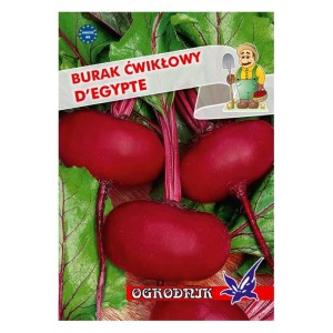 Burak kulisty spłaszczony D'Egypte 10g  / O /