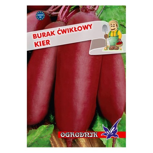 Burak ćwikłowy Kier 10g  / O /