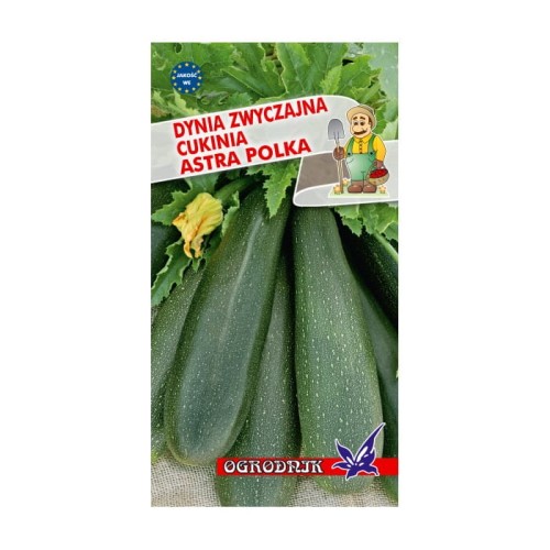 Dynia zwyczajna Astra Polka 2g  / O /