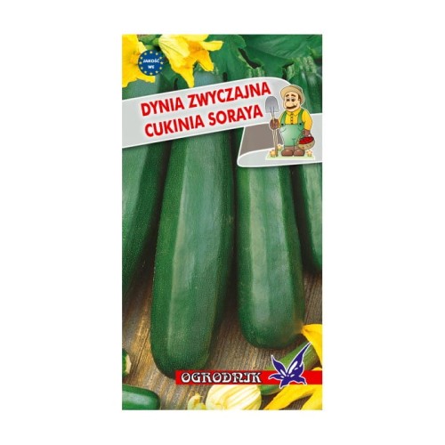 Dynia zwyczajna cukinia Soraya 2g  / O/
