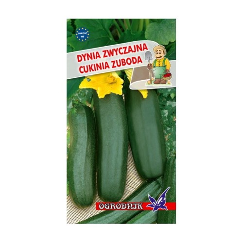 Dynia zwyczajna cukinia Zuboda 2g  / O /