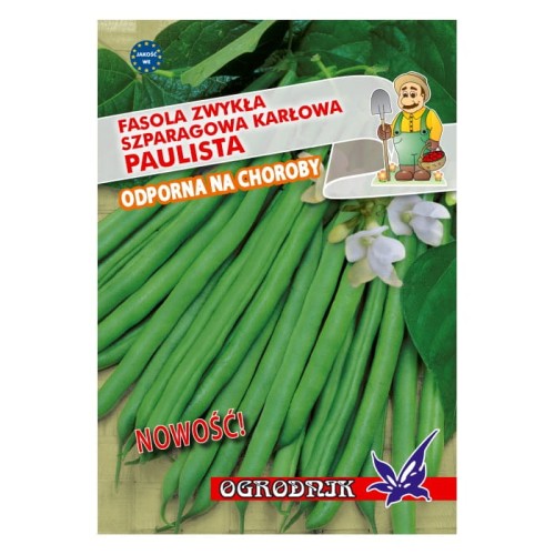 Fasola zielonostrąkowa karłowa Paulista 40g  / O /