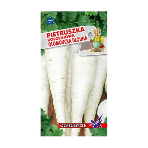 Pietruszka średniopóźna Ołomouńcka 5g  / O /
