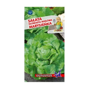 Sałata masłowa Marysieńka 2g  / O /
