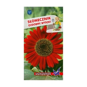Słonecznik ozdobny czerwony  2g
