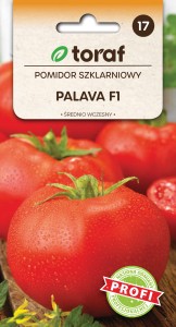 Pomidor szklarniowy Palava F1  0,1g  / T /