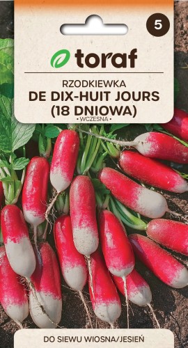 Rzodkiewka DE DIX-HUIT JOURS – 18 dniowa 5g  / T /