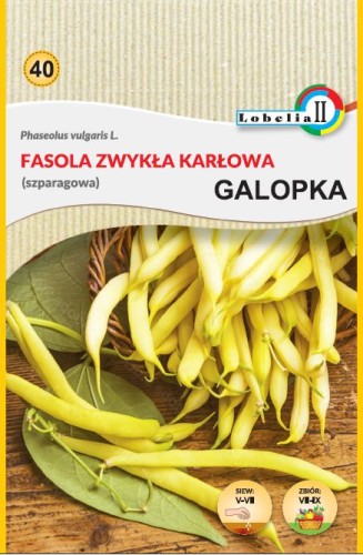 Fasola zwykła karłowa Galopka  40g   / L /