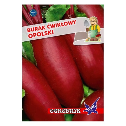 Burak cylindryczny Opolski 10g  / O /