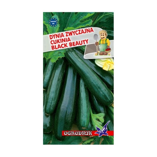 Dynia zwyczajna cukinia Black Beauty 2g  / O /