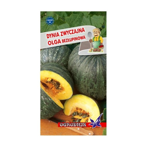 Dynia zwyczajna Olga bezłupinowa 2g  / O /