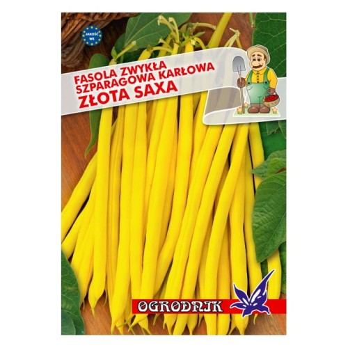 Fasola żółta karłowa Złota Saxa 40g  / O /