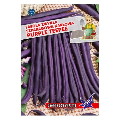 Fasola fioletowa karłowa Purple Teepee 40g  / O /