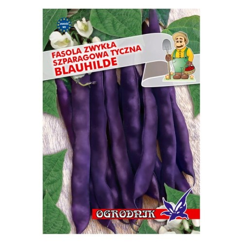 Fasola fioletowa tyczna Blauhilde 20g  / O /