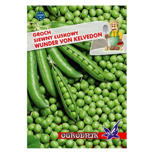 Groch łuskowy Wunder von Kelvedon 40g  / O /