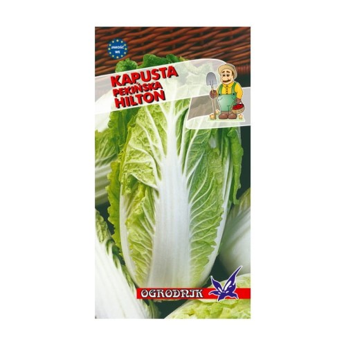 Kapusta pekińska Hilton 1g  / O /