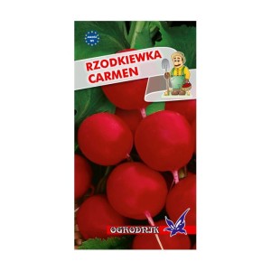 Rzodkiewka Carmen 10g  / O /