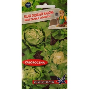 Sałata masłowa mix całoroczna 1g  / O /