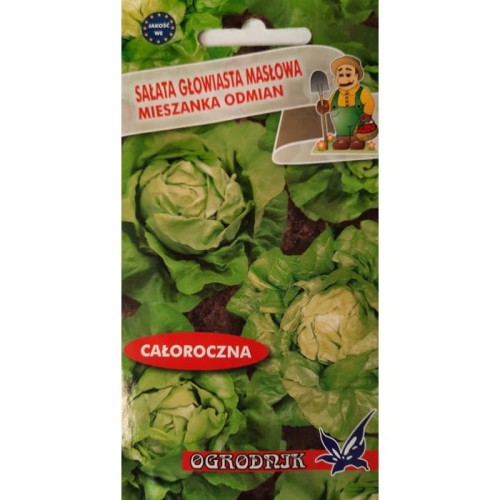 Sałata masłowa mix całoroczna 1g  / O /