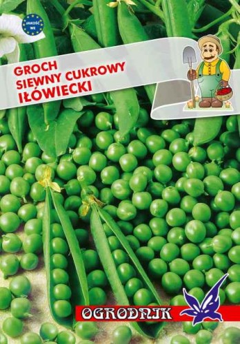Groch siewny cukrowy Iłówiecki 40g  / O /