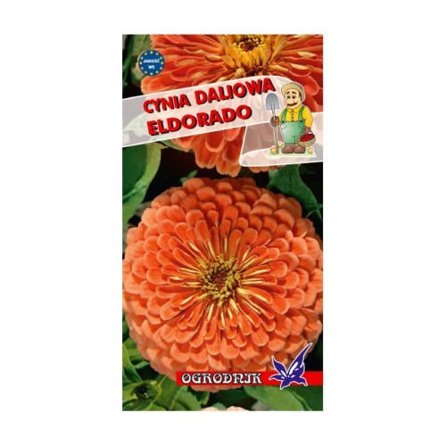 Cynia daliowa Eldorado 1g  / O /