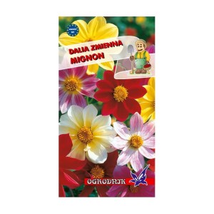 Dalia zmienna Mignon mieszanka 1g  / O /