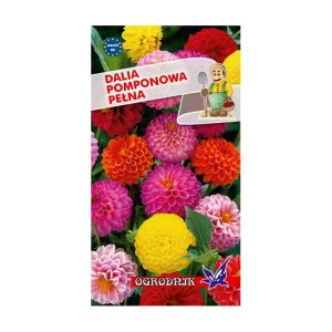 Dalia pomponowa mix 0,5g  / O /
