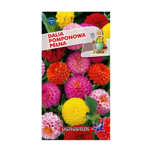 Dalia pomponowa mix 0,5g  / O /