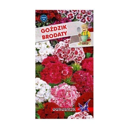 Goździk brodaty pełny mix 1g  / O /