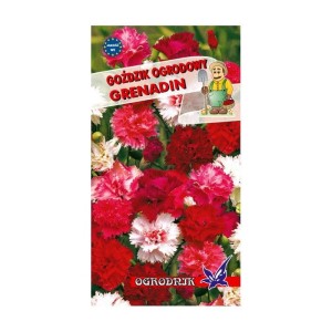 Goździk ogrodowy Grenadin 0,5g  / O /