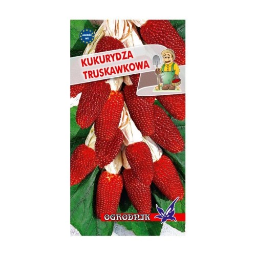 Kukurydza ozdobna truskawkowa 2g  / O /