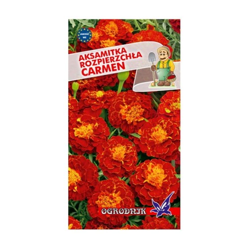 Aksamitka rozpierzchła Carmen 1g  / O /