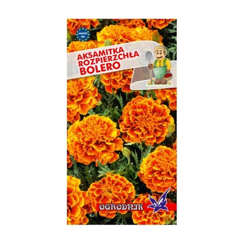 Aksamitka rozpierzchła Bolero 1g  / O /