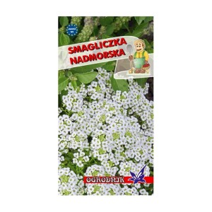 Smagliczka nadmorska biała 1g  / O /