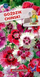 Goździk chiński mieszanka 1g  / O /